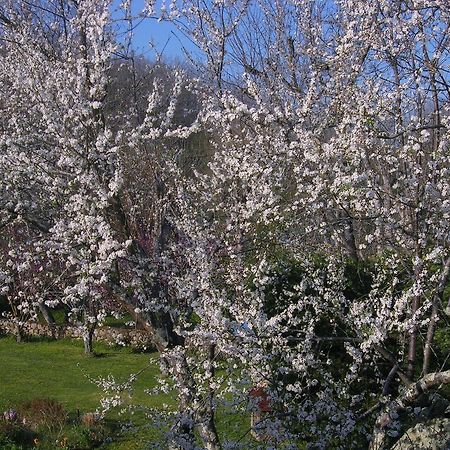 Le Colombier Bed and Breakfast Villeneuve-sur-Lot Buitenkant foto