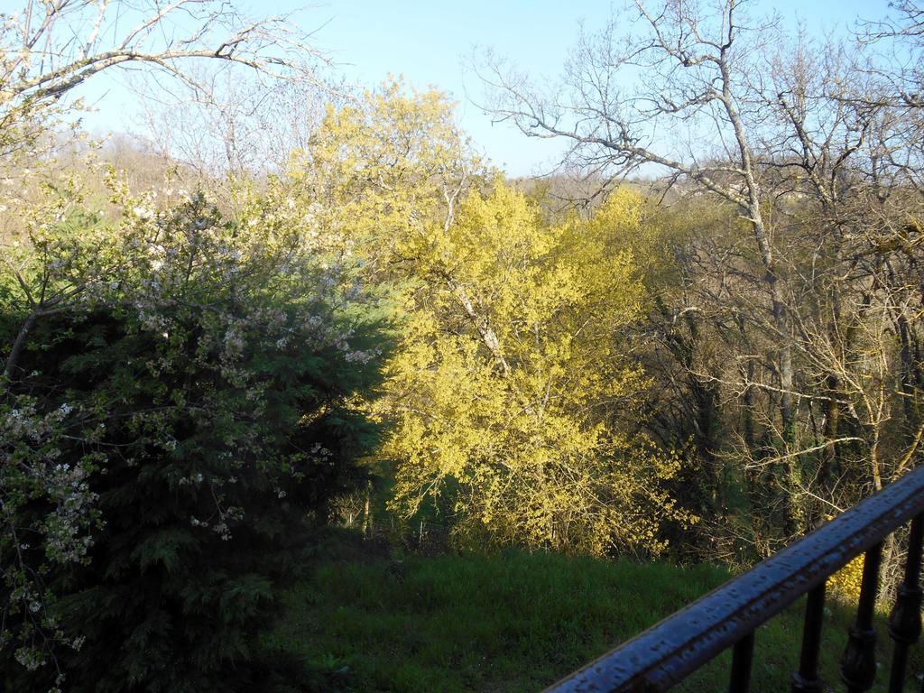Le Colombier Bed and Breakfast Villeneuve-sur-Lot Buitenkant foto