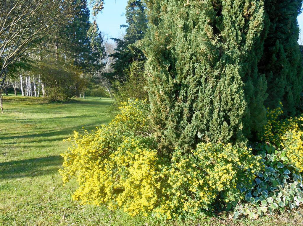Le Colombier Bed and Breakfast Villeneuve-sur-Lot Buitenkant foto