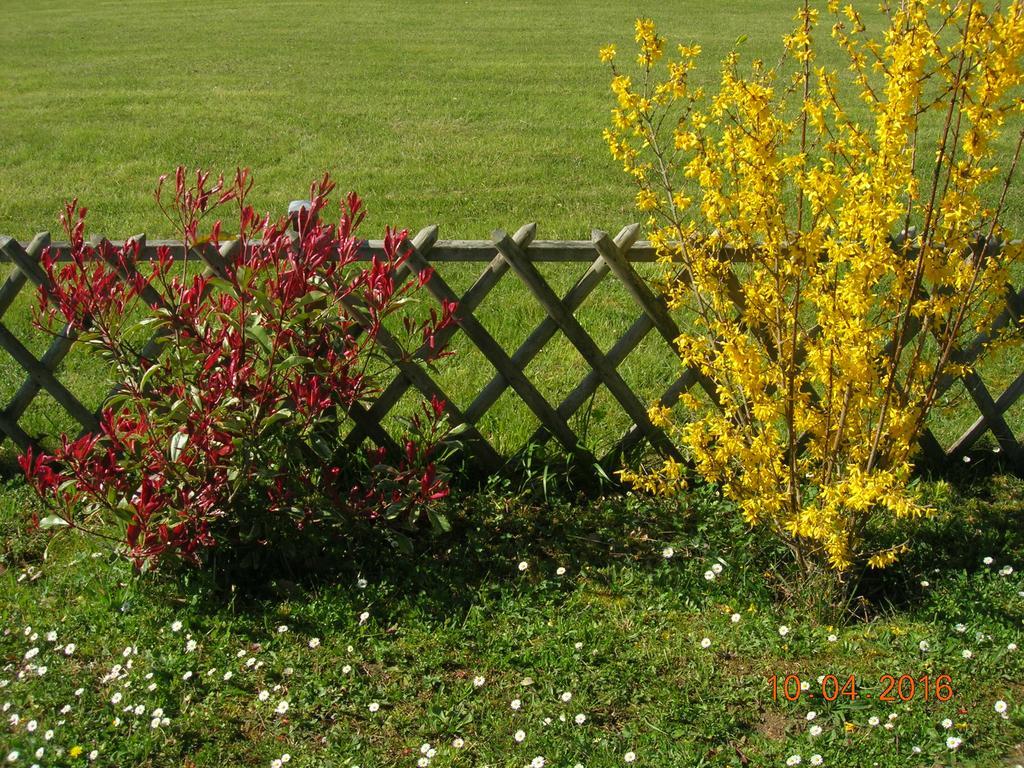 Le Colombier Bed and Breakfast Villeneuve-sur-Lot Buitenkant foto