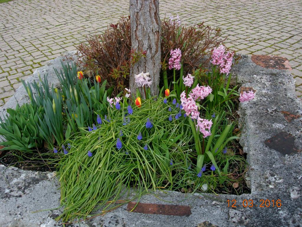 Le Colombier Bed and Breakfast Villeneuve-sur-Lot Buitenkant foto