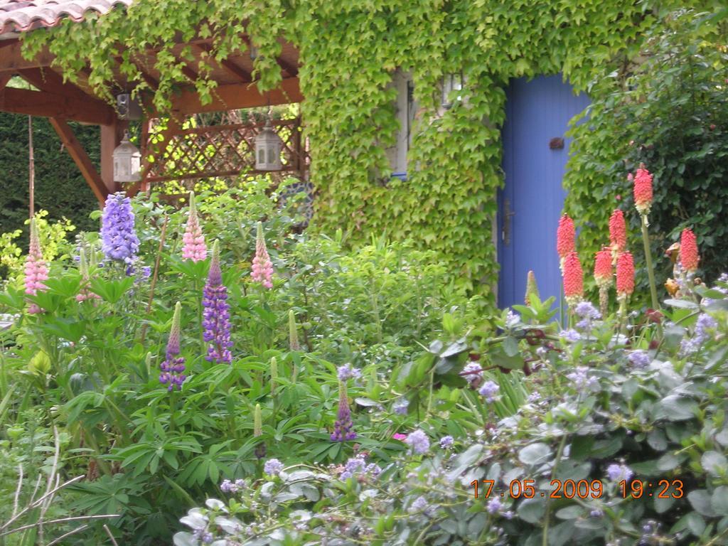 Le Colombier Bed and Breakfast Villeneuve-sur-Lot Buitenkant foto