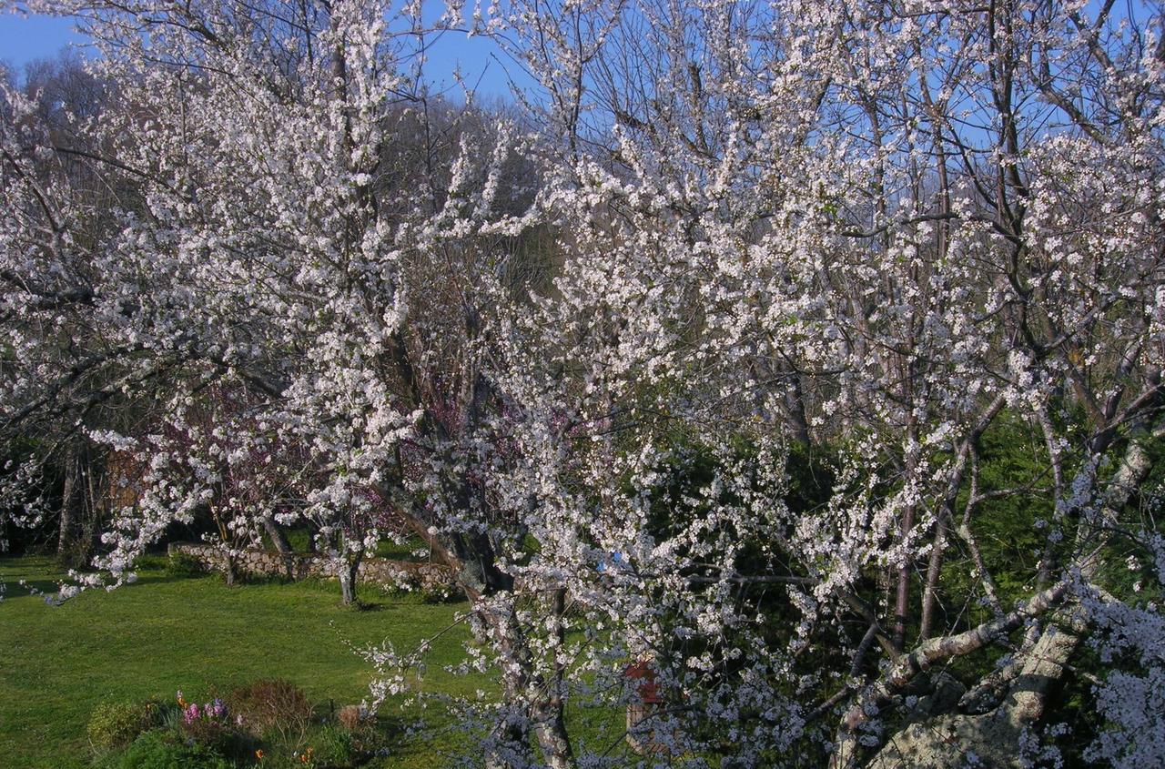 Le Colombier Bed and Breakfast Villeneuve-sur-Lot Buitenkant foto